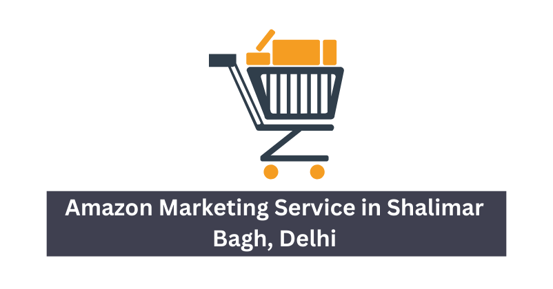 Amazon Marketing Service in Shalimar Bagh, Delhi