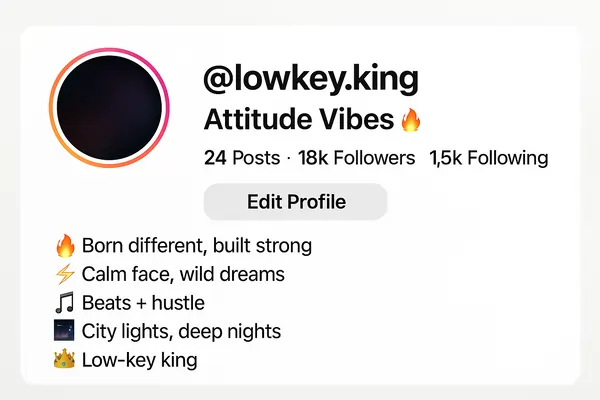 Aesthetic Instagram Bios for Boys