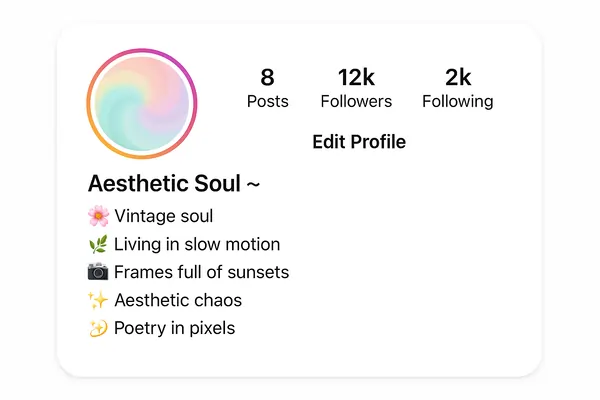 Best Aesthetic Instagram Bios (General)