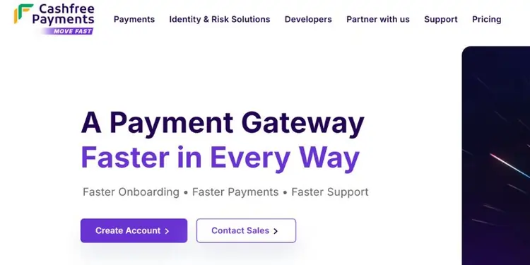 Cashfree India 2025 Review