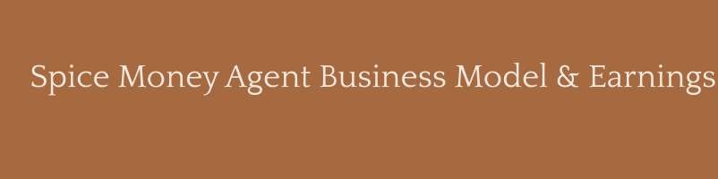 Spice Money Agent Business Model & Earnings